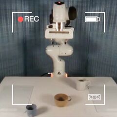 SpatialBot graphical abstract